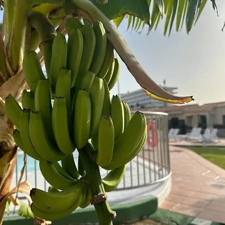Santa Fe Сasa de vacaciones *